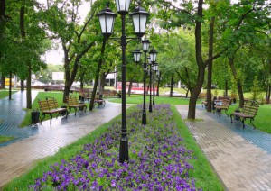 озелененение города
